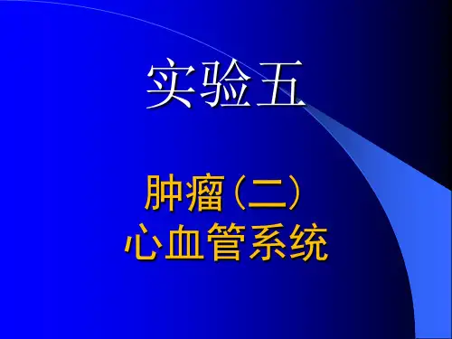 5.肿瘤二,心血管系统   温州医科大学   基础医学院病理学实验讲义
