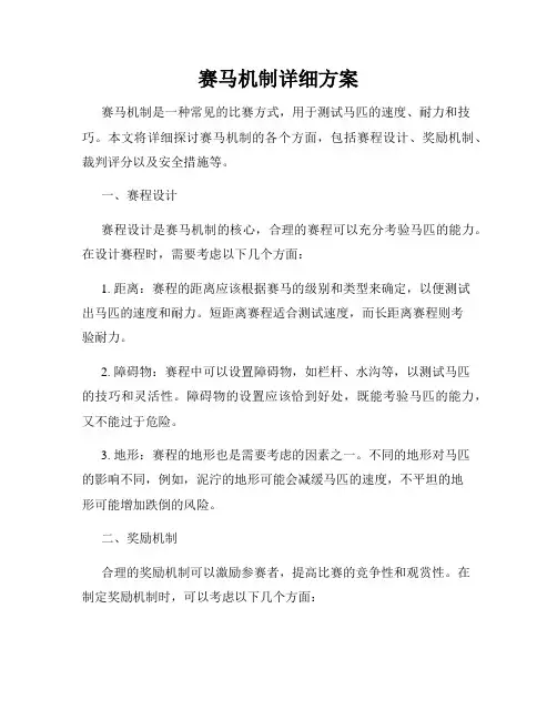 赛马机制详细方案