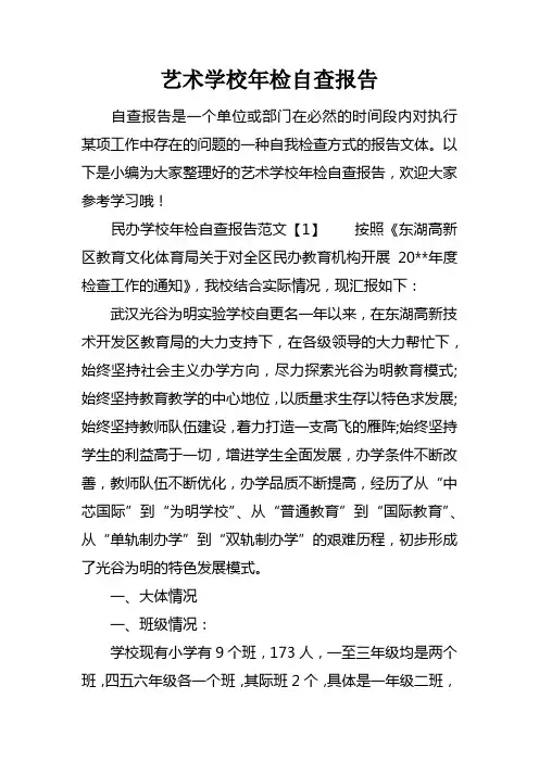 艺术学校年检自查报告