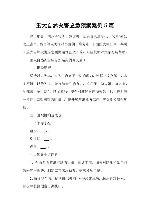 重大自然灾害应急预案案例5篇