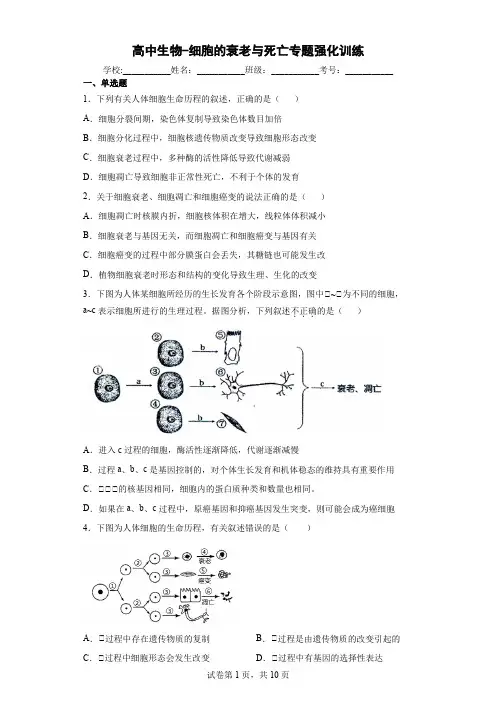 高中生物-细胞的衰老与死亡专题强化训练(解析版)