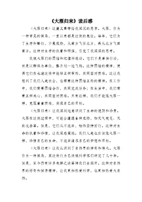 大雁归来读后感