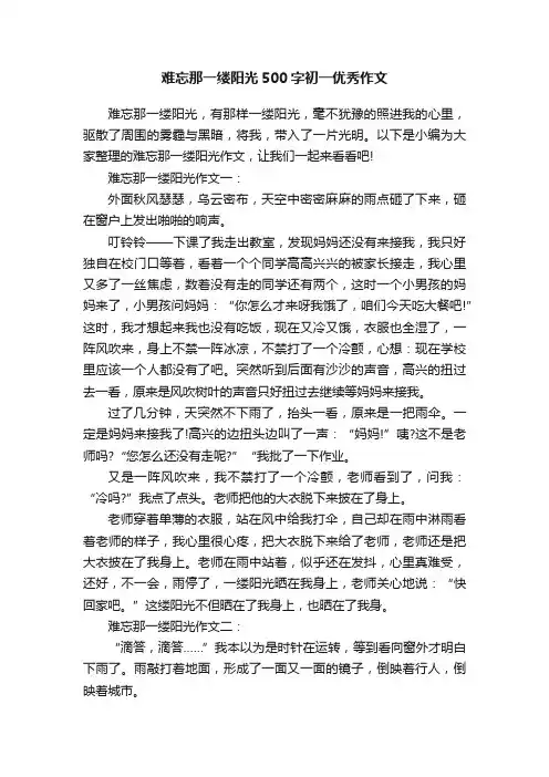 难忘那一缕阳光500字初一优秀作文
