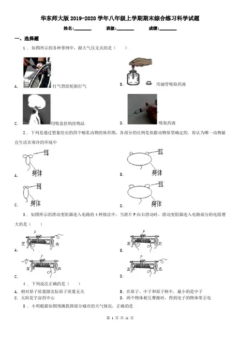 华东师大版2019-2020学年八年级上学期期末综合练习科学试题