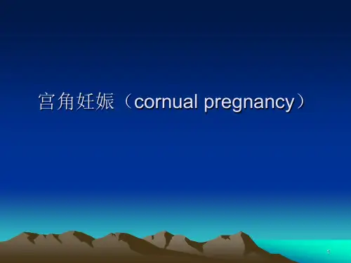 宫角妊ppt课件