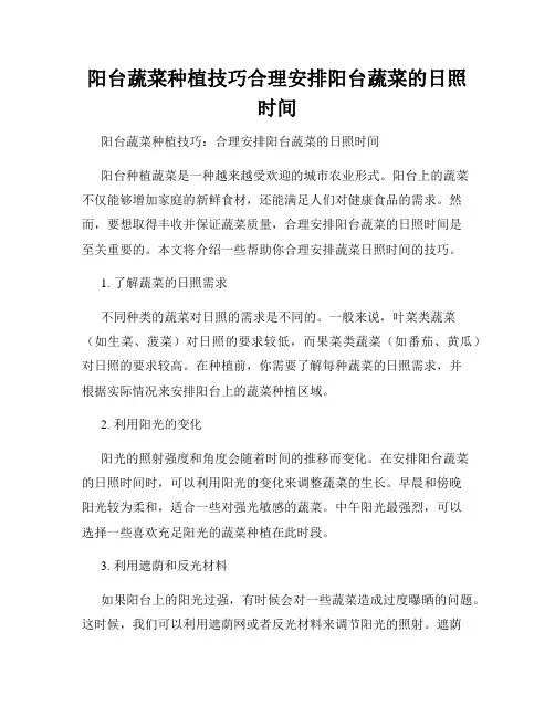 阳台蔬菜种植技巧合理安排阳台蔬菜的日照时间