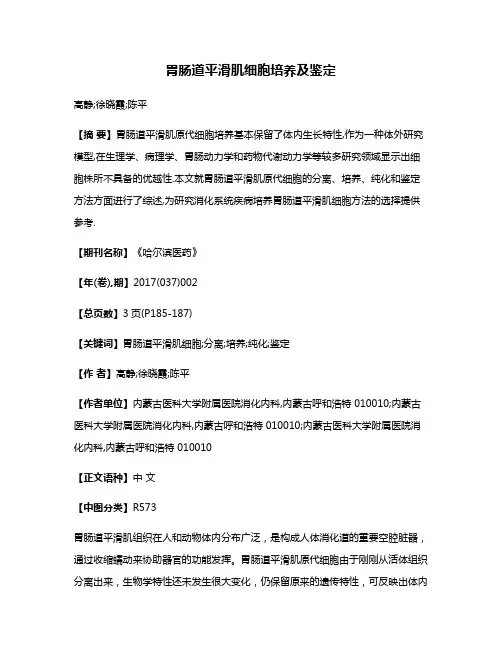 胃肠道平滑肌细胞培养及鉴定