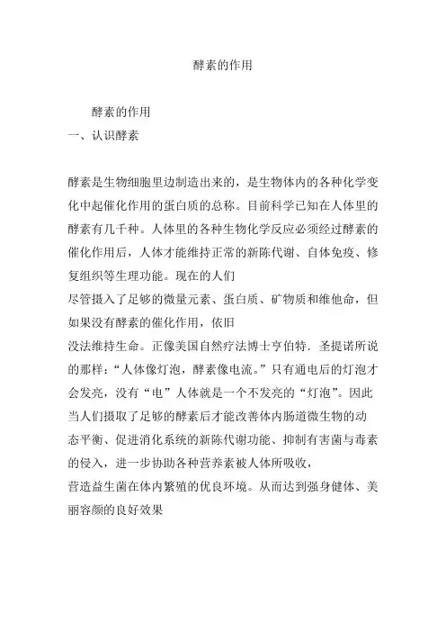 酵素的作用