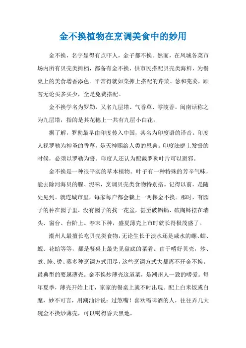 金不换植物在烹调美食中的妙用