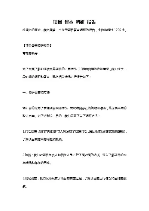 项目 督查 调研 报告
