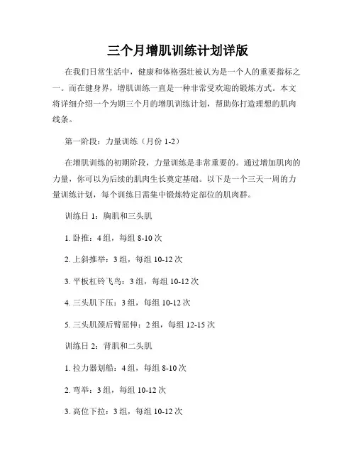 三个月增肌训练计划详版
