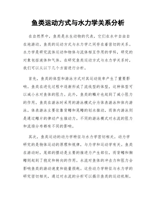 鱼类运动方式与水力学关系分析