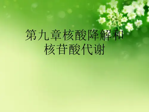 第九章核酸降解和核苷酸代谢优秀课件