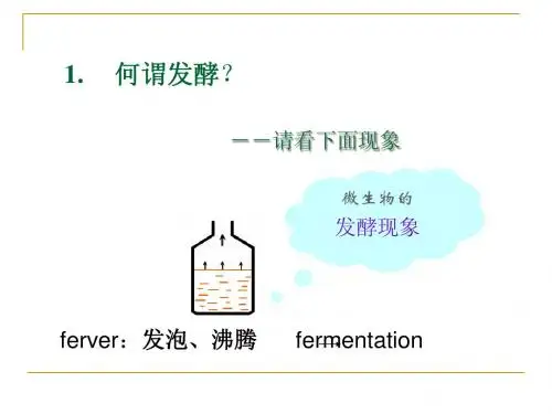 发酵工程