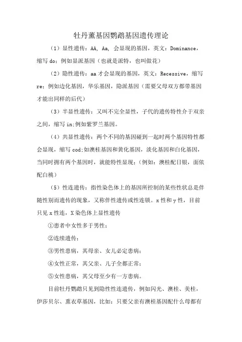 牡丹薰基因鹦鹉基因遗传理论