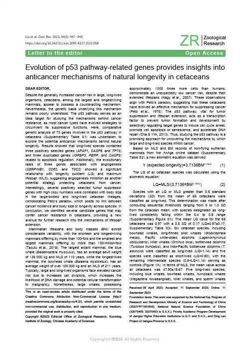 Evolution_of_p53_pathway-related_genes_provides_in