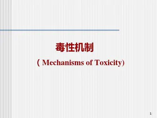 毒理学 毒性机制