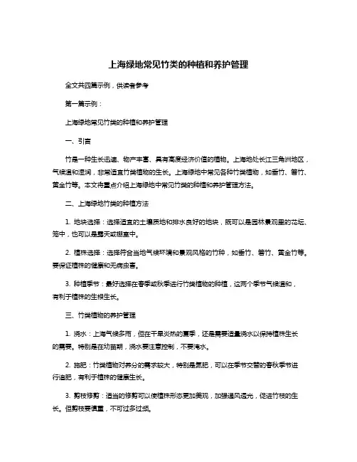 上海绿地常见竹类的种植和养护管理