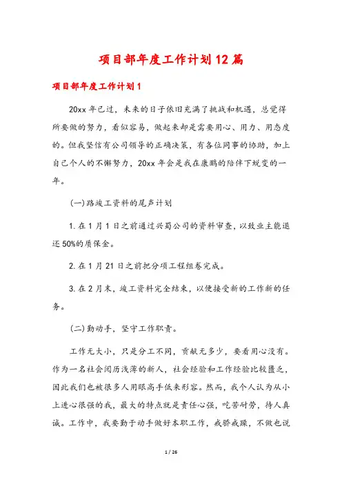 项目部年度工作计划12篇