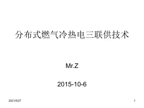 CCHP_冷热电三联供技术