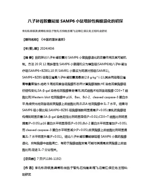 八子补肾胶囊延缓SAMP6小鼠增龄性胸腺退化的初探