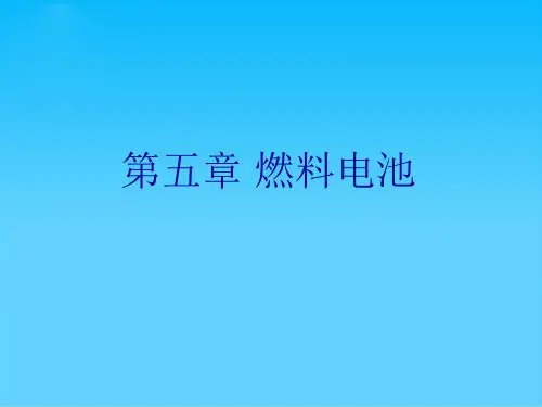 燃料电池培训课件(ppt 47页)