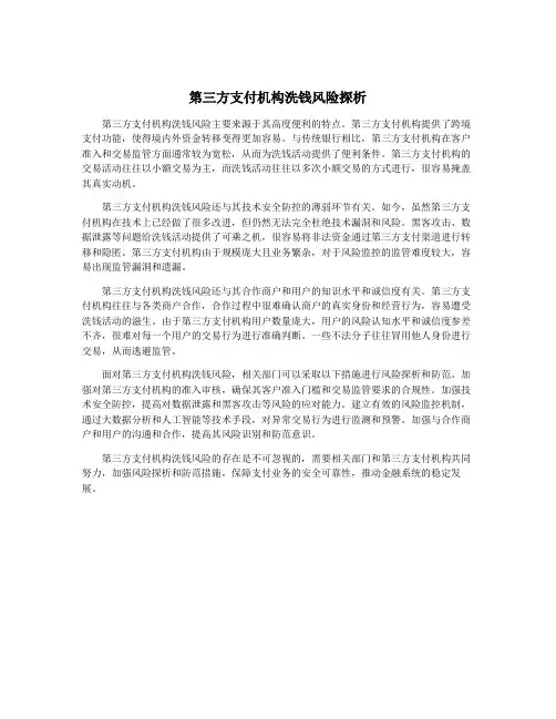 第三方支付机构洗钱风险探析