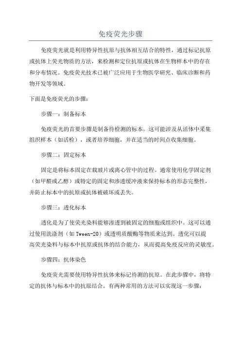 免疫荧光步骤