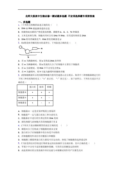 北师大版高中生物必修一测试题多选题 不定项选择题专项附答案