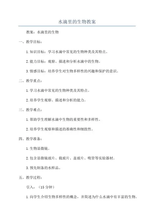 水滴里的生物教案