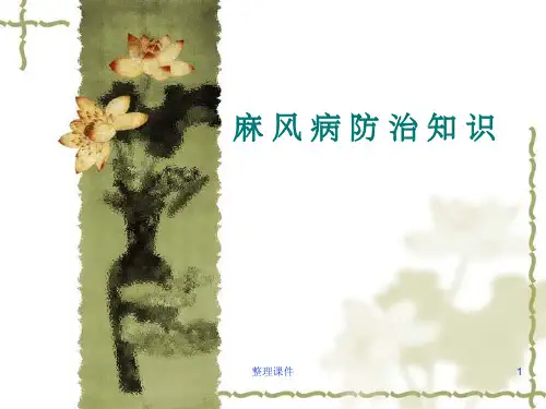 麻风病防治培训
