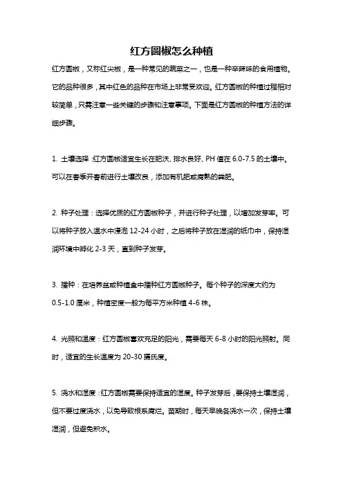 红方圆椒怎么种植