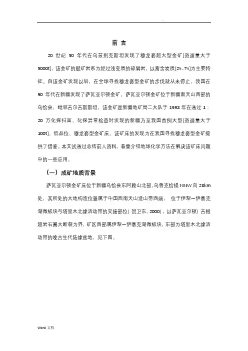 新疆南天山西部萨瓦亚尔顿金矿
