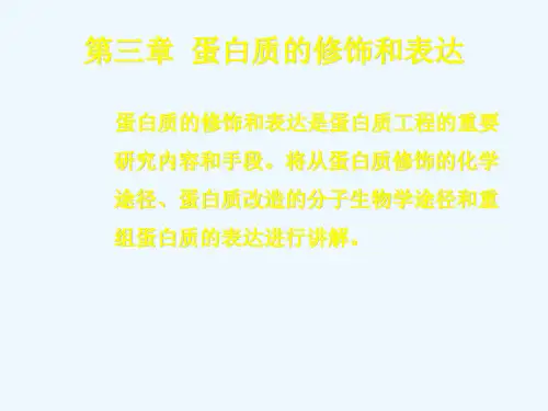 蛋白质的修饰和表达