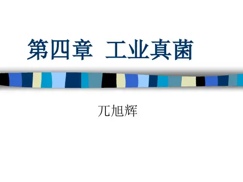第四章  工业真菌wu