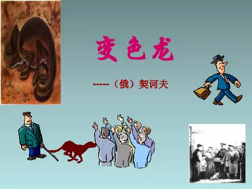 《变色龙》资料
