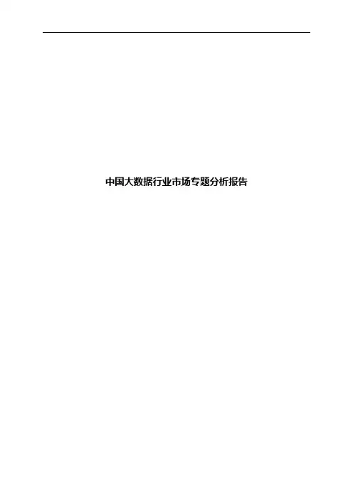 中国大数据行业市场专题分析报告