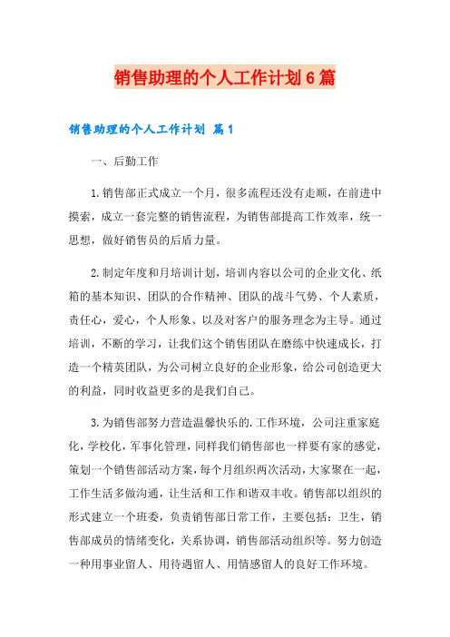 销售助理的个人工作计划6篇