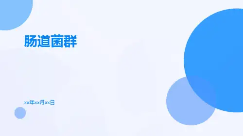 (医学课件)肠道菌群