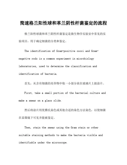 简速格兰阳性球和革兰阴性杆菌鉴定的流程