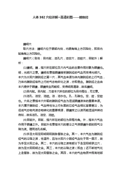人体362穴位详解+高清彩图——膀胱经