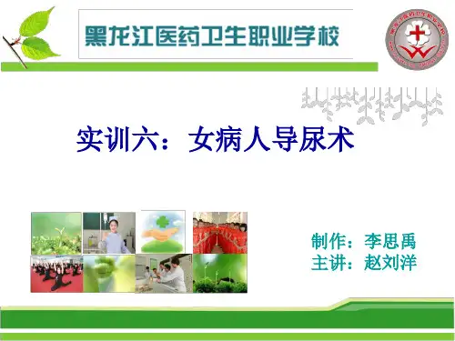 12.实训六：女病人导尿术
