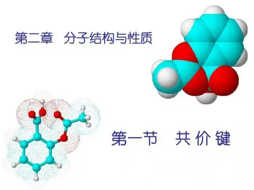 人教版选修三第二章第一节共价键