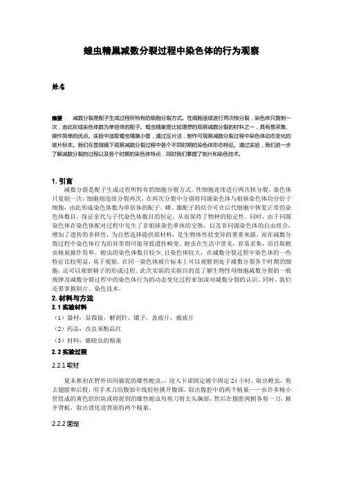 蝗虫精巢减数分裂过程中染色体的行为观察