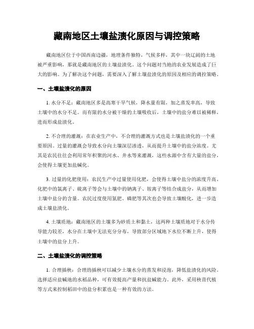 藏南地区土壤盐渍化原因与调控策略