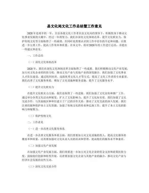 县文化局文化工作总结暨工作意见
