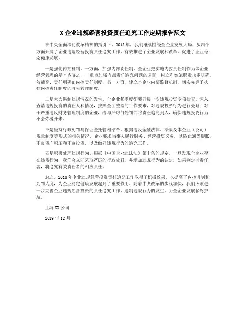 X企业违规经营投资责任追究工作定期报告范文