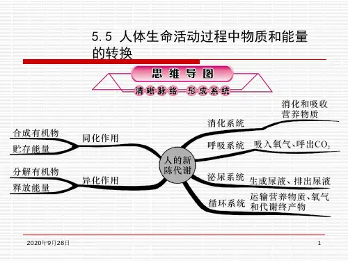 人体生命活动过程中物质和能量的转换解析PPT课件
