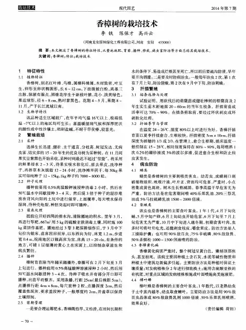 香樟树的栽培技术