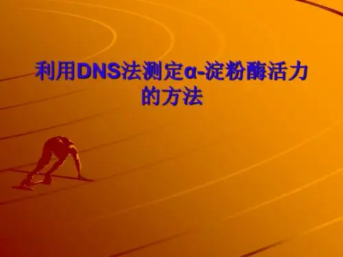 DNS法测定α-淀粉酶活力的方法